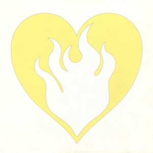 沈悦陆婷婷江晓萍大团结
